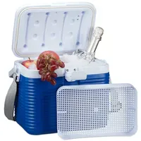 Relaxdays Kühlbox 8 l