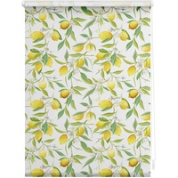 Lichtblick Seitenzugrollo Klemmfix 60 x 150 cm Limone -