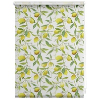 Lichtblick Rollo Klemmfix 60 x 150 cm Limone -