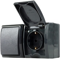 REV Ritter REV 0007861900 Aufputz-Steckdose mit Schalter IP44 anthrazit,