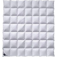 Billerbeck Catalina Kassette II