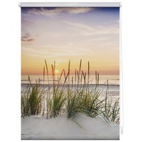 Lichtblick Rollo Klemmfix, 100x150 cm