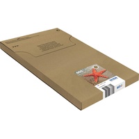 Epson 603 CMYK EasyMail C13T03U54510