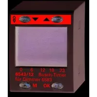 Busch-Jaeger Timer Bedienelement 6543/12