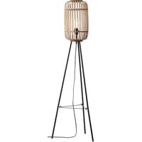 Brilliant Woodrow Braun