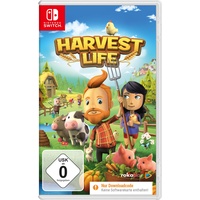 Rokaplay Harvest Life (CIAB)
