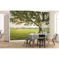 KOMAR Vlies Fototapete The Magic Tree