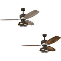 Westinghouse Welford Ventilator, Braun