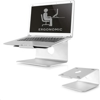 NeoMounts NSLS050, Notebook-Stand 10-12.9", silber (NSLS050)