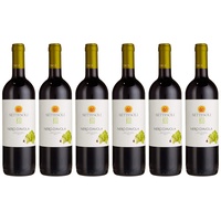Mandrarossa – settesoli Settesoli Nero d'Avola – Bio