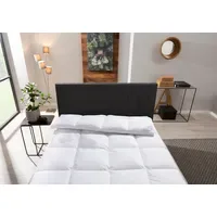 Otto Keller Daunenbettdecke OTTO KELLER "Star, Bettdecken für Sommer