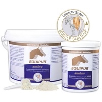 Vetripharm Equipur amino 1 kg
