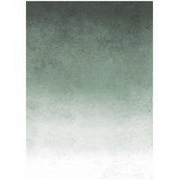 Art for the home Fototapete Fading groen 280 x