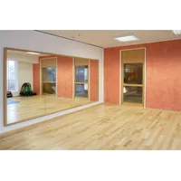 Sport-Thieme Sicherheitsspiegel Kristall 200x150 cm)