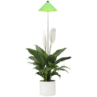 Parus by Venso SUNLiTE 7W LED Vollspektrum Pflanzenlampe Grün,