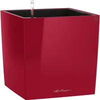 LECHUZA Cube 50 Komplettset 50 x 50 x 50