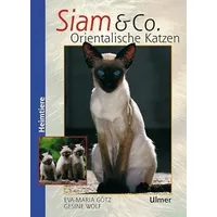 Ulmer Eugen Verlag Siam & Co. Orientalische Katzen