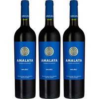 Bodega Amalaya Amalaya tinto Valle Calchaquí Salta 2023