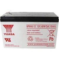 YUASA NPW45-12 NP45W/12