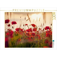 Calvendo Mohnblumen im Abendlicht 1000 Teile