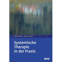 Beltz Systemische Therapie in der Praxis
