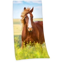 Herding Pferd Velourstuch, 75x150 cm, 100% Baumwolle