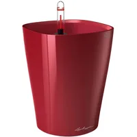 LECHUZA Deltini Komplettset 15 x 15 x 19 cm