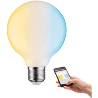 Paulmann 50396 LED EEK E