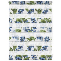 Lichtblick Duo Rollo / Doppelrollo Klemmfix 60 x 150