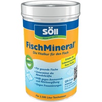 Söll FischMineral
