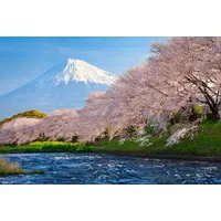 Papermoon Fototapete "Fuji and Sakura", bunt, Vlies, Tapeten