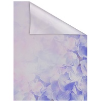 Lichtblick Fensterfolie Hortensie 1 St., blickdicht, strukturiertKlebepunkte, selbstklebend, Sichtschutz,