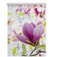 Lichtblick Rollo Klemmfix, ohne Bohren, blickdicht, Magnolie rosa 45