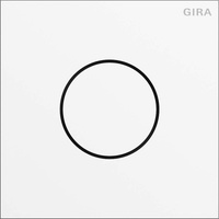 Gira System 106 Sprachmodul Verkehrsweiß, Türstationsmodul (5563 902)