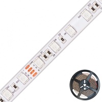 EVN LSTRSB6724305099 LEDs-Stripe 5m Lichterkette für Außen