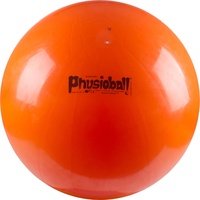 Ledragomma Original PEZZI Physioball® 120 cm,