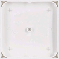 Busch-Jaeger 6230-10-914 1fach ohne Bedruckung