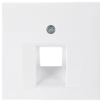 Berker Zentralstück pws/gl f.UAE-Dose 14078989