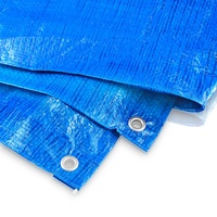 Bradas Abdeckplane Gewebeplane blau 3 x 7 m 60g/m2
