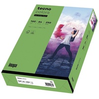Inapa tecno colors A4 160 g/m2 250 Blatt intensivgrün