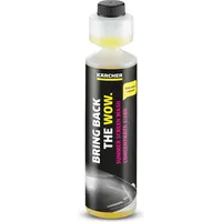 Kärcher Sommerscheibenreiniger RM 672 250 ml