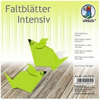 Ludwig Bähr Ursus - Faltblätter Uni intensiv, Plakatkarton, 65