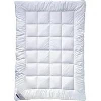 Billerbeck 321 Classic-Clean« Faser-Decken Light 200x200 cm