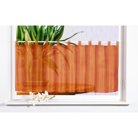 Gardinenbox Scheibengardine Uni Voile, 50x160, Terrakotta, 61070