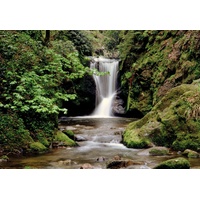 Papermoon Vlies- Fototapete Digitaldruck 350 x 260 cm Waldbach