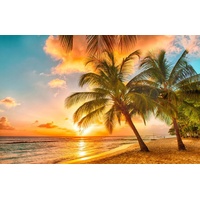 Papermoon Vlies- Fototapete Digitaldruck 350 x 260 cm, Barbados