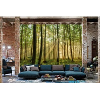 Papermoon Vlies- Fototapete Digitaldruck 350 x 260 cm, Forest