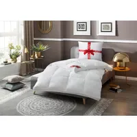 RIBECO Federbettdecke RIBECO "Emily", weiß, B:135cm L:200cm, Bezug: 100%