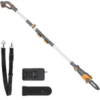 Worx WG349E inkl. 1 x 2 Ah / 20