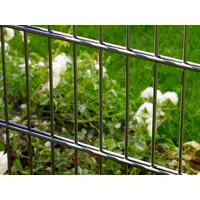 PEDDY SHIELD Doppelstabmattenzaun 10 Matten 1,03 x 20 m